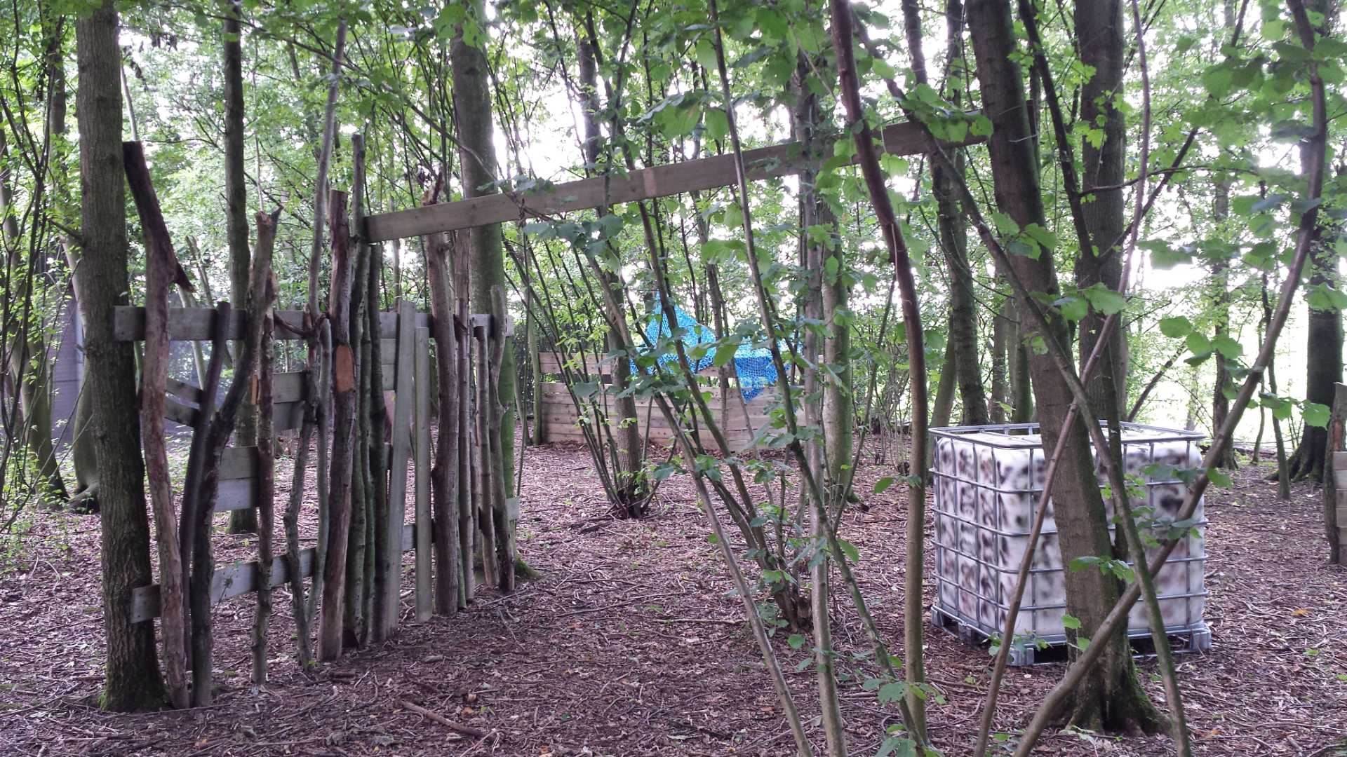  Arrowbattle bos 2 Zone10